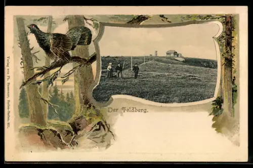 Passepartout-Lithographie Feldberg, Leute auf der Wiese, Auerhahn auf dem Ast, geprägt