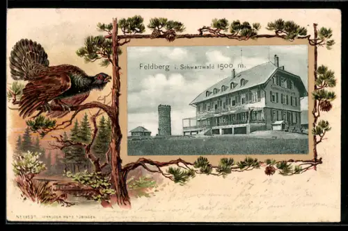 Passepartout-Lithographie Feldberg /Schwarzwald, Gasthaus zum Feldbergturm