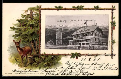 AK Feldberg /bad. Schwarzwald, Aussichtsturm und Gasthaus