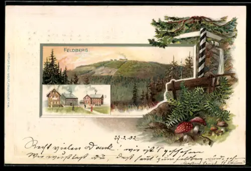 Passepartout-Lithographie Feldberg /Schwarzwald, Gasthaus, Blick zum Feldberg