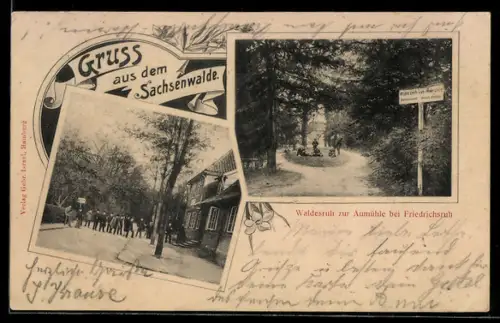 AK Aumühle /Friedrichsruh, Partien beim Restaurant Waldesruh zur Aumühle, Inh. Ernst Groth
