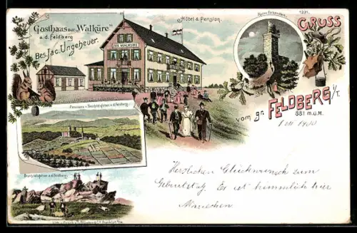 Lithographie Feldberg i. T., Gasthaus zur Walküre, Bes. Jac. Ungeheuer, Ruine Falkenstein, Hotel und Panorama