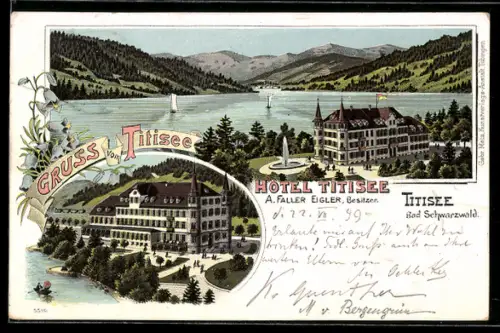 Lithographie Titisee /Bad Schwarzwald, Hotel Titisee mit Panorama, Inh. A Faller Eigler