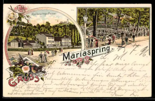 Lithographie Mariaspring, Mit Plesse und Anlagen
