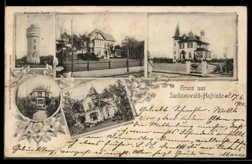 AK Sachsenwald-Hofriede, Verschiedene Ortspartien mit Villen, Gasthof und Bismarck-Turm