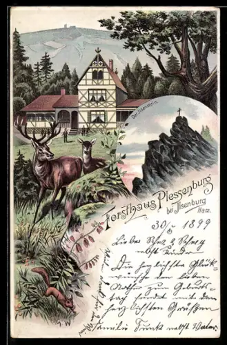 Lithographie Ilsenburg /Harz, Forsthaus Plessenburg, Wildtiere, Ilsenstein