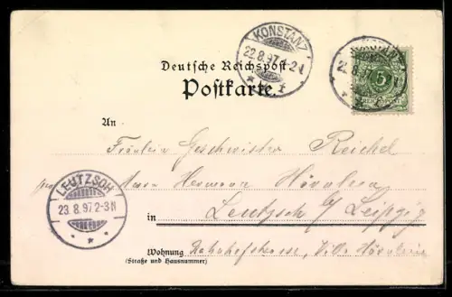 Lithographie Rheinfall, Bodensee, Übersichtskarte, Rheinfall bei Mondschein