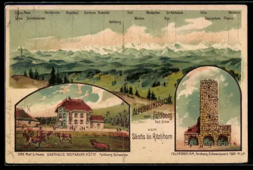 Künstler-AK Feldberg /Schwarzwald, Gasthaus Todtnauer Hütte, Feldbergturm, Alpenrundsicht