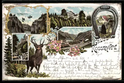 Lithographie Thale, Rosstrappe, Hotel an der Rosstrappe, Eingang Bodethal