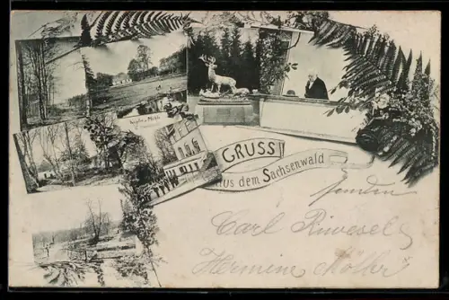 AK Friedrichsruh /Sachsenwald, Kupfer-Mühle, Ortsansichten und Bismarck