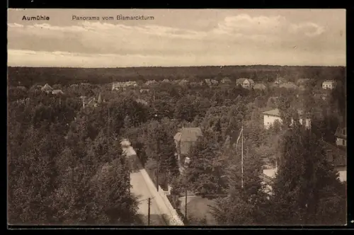 AK Aumühle, Panorama vom Bismarckturm