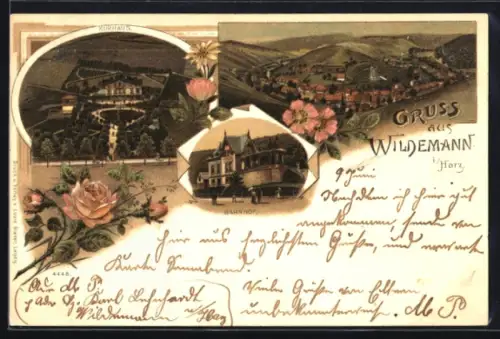 Lithographie Wildemann, Bahnhof, Kurhaus, Panorama