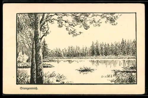 AK Aumühle, Stangenteich, Teichlandschaft mit Wald