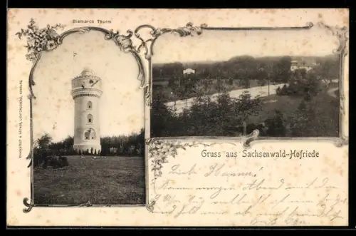 AK Sachsenwald-Hofriede, Bismarck Turm, Landschaftsansicht