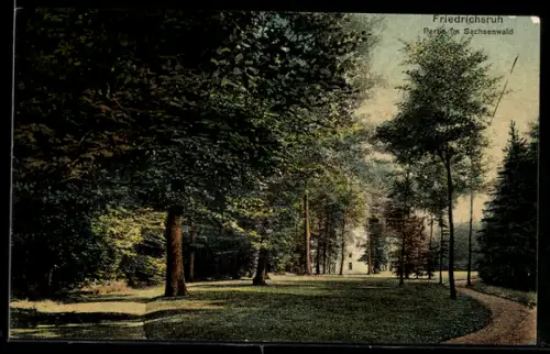 AK Friedrichsruh, Partie im Sachsenwald