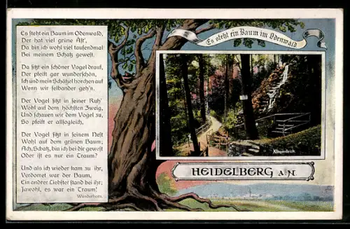 AK Heidelberg a. N., Klingenteich, Baum im Odenwald