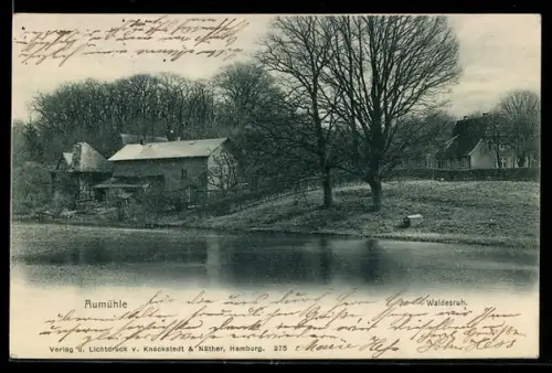 AK Aumühle, Waldesruh, Mühle, Teich, Wald