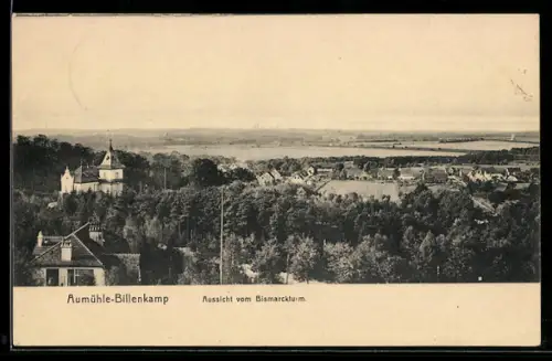 AK Aumühle-Billenkamp, Aussicht vom Bismarckturm