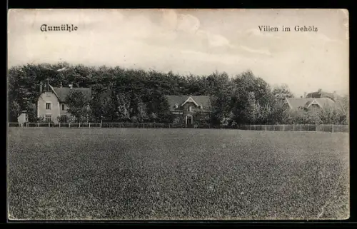 AK Aumühle, Villen im Gehölz
