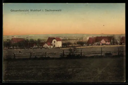 AK Wohltorf i. Sachsenwald, Gesamtansicht des Ortes