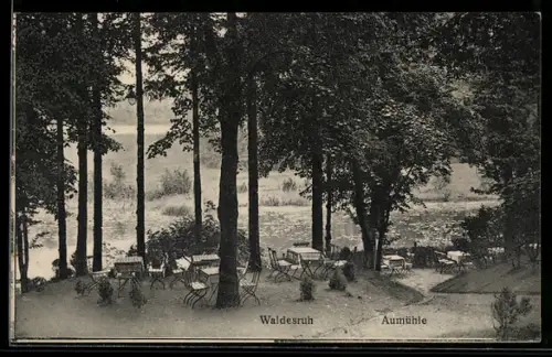AK Aumühle, Gasthaus Waldesruh, Partie im Garten