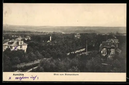 AK Aumühle, Blick vom Bismarckturm