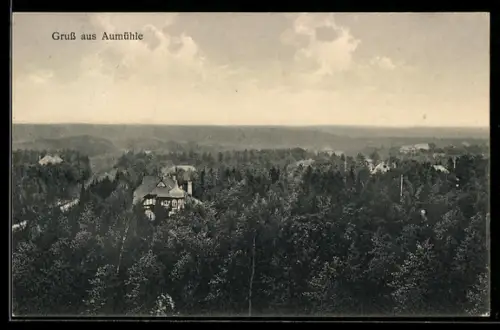 AK Aumühle, Blick auf den Wald