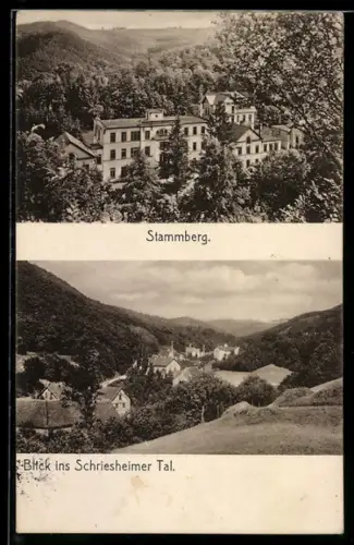 AK Stammberg, Blick ins Schriesheimer Tal