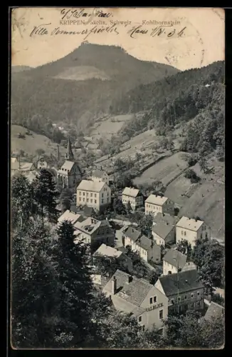 AK Krippen /Sächs. Schweiz, Kohlbornstein, Ortsansicht mit Kirche