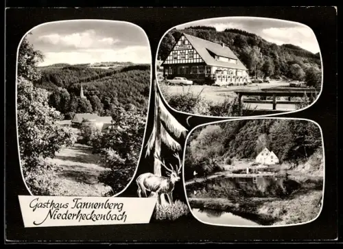 AK Niederheckenbach, Gasthaus Tannenberg, Inh. G. Fisang