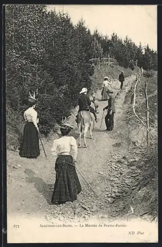 AK Allevard-les-Bains, La Montée de Brame-Farine