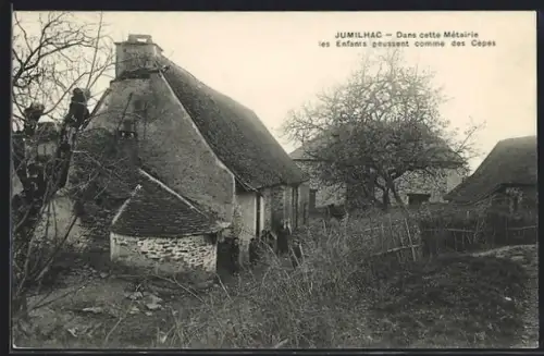 AK Jumilhac, Dans cette Métaire les Enfants poussent comme des Cepes