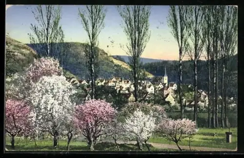AK Auerbach /Bergstrasse, Frühlingslandschaft, blühende Bäume, Ortsansicht