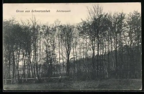 AK Schwarzenbek, Partie im Schützenpark