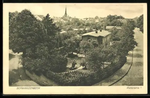 AK Schwarzenbek, Orts-Panorama