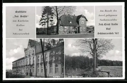 AK Kollow bei Schwarzenbek, Gaststätte zur Suhle, Inh. Ernst Kolbe, Sachsenwald und Kurheim