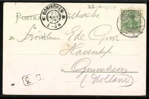 AK Assmannshausen, Teilansicht mit Rheinstein