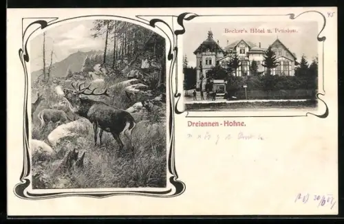 AK Dreiannen-Hohne, Becker`s Hotel und Pension, röhrender Hirsch, im Jugendstil-Passepartout
