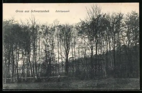 AK Schwarzenbek, Partie im Schützenpark