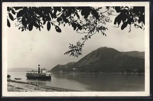 AK Visegrad, Panorama mit Dampfer von Nagymaros aus
