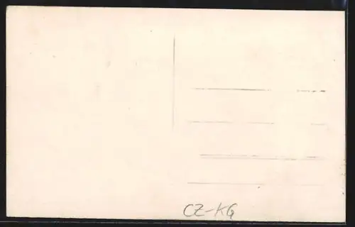 AK Náchod, Panorama