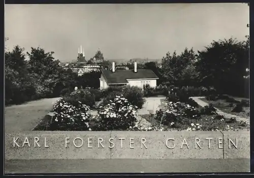 AK Erfurt, Internationale Gartenbau-Ausstellung, Staudensichtungsgarten Karl Foerster