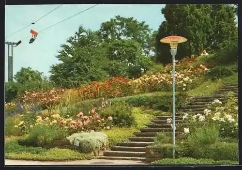 AK Stuttgart, Bundes Gartenschau 1961, Partie im Tal der Rosen mit Sessellift
