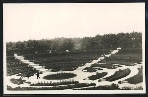 AK Essen, Partie im Gruga-Park