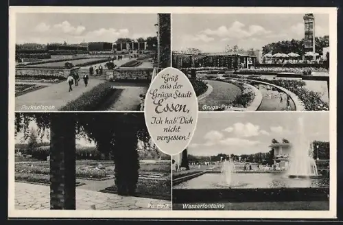 AK Essen, Partie im Gruga-Park, Parkanlagen, Wasserfontaine