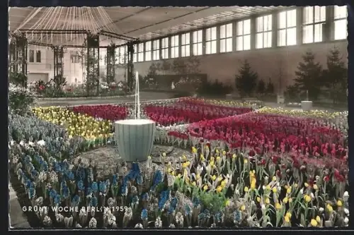AK Berlin, Grüne Wochen 1959, Innenräume mit Blumenbeeten