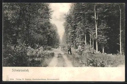 AK Schwarzenbek, Waldweg mit Spaziergängern und Fahrrädern