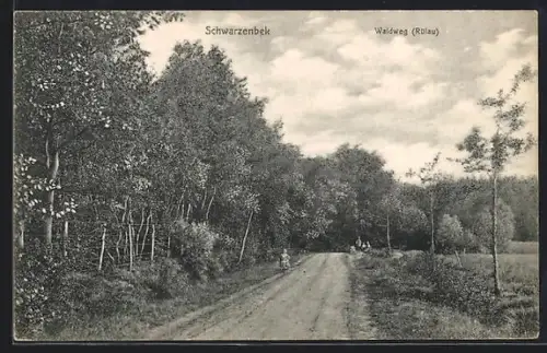 AK Schwarzenbek, Waldweg (Rülau)