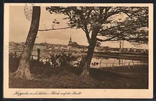 AK Kappeln a.d. Schlei, Blick auf die Stadt
