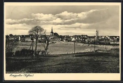 AK Kappeln a.d. Schlei, Ortspanorama mit Brücke